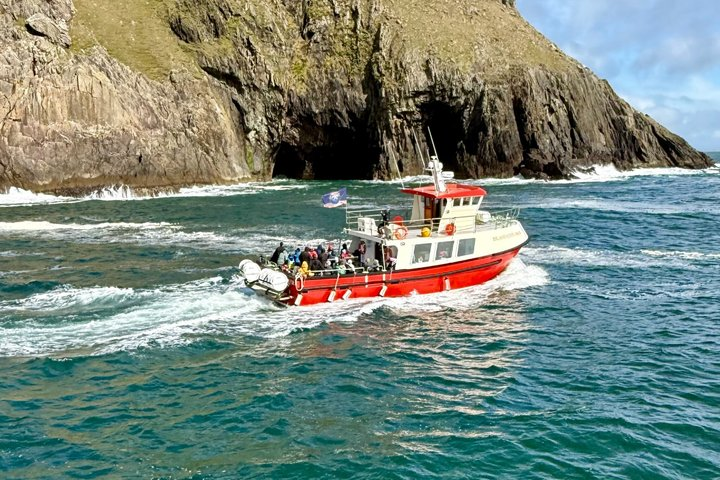 2-hour Guided Mini Eco Tour at Dingle, Ireland - Photo 1 of 16