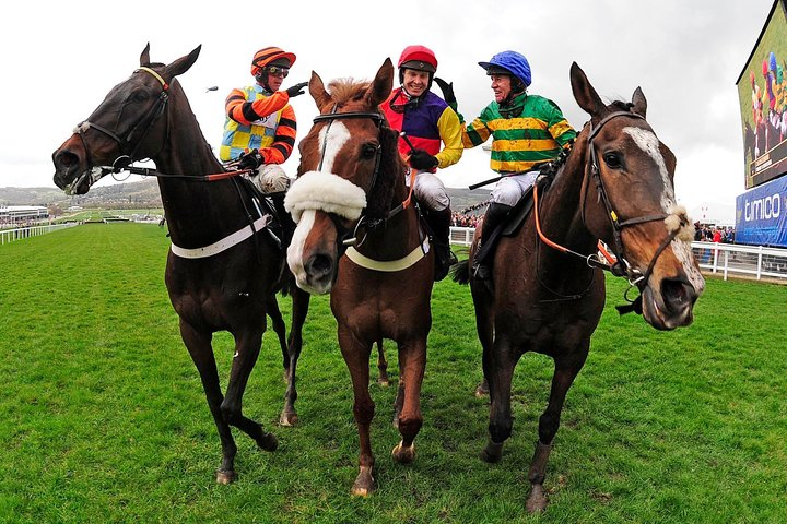 May the best horse win!