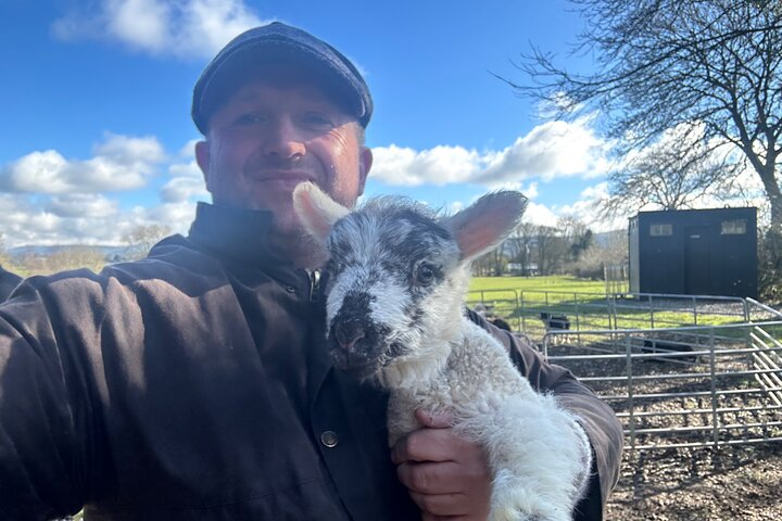 Wicklow at lambing time can be fun 