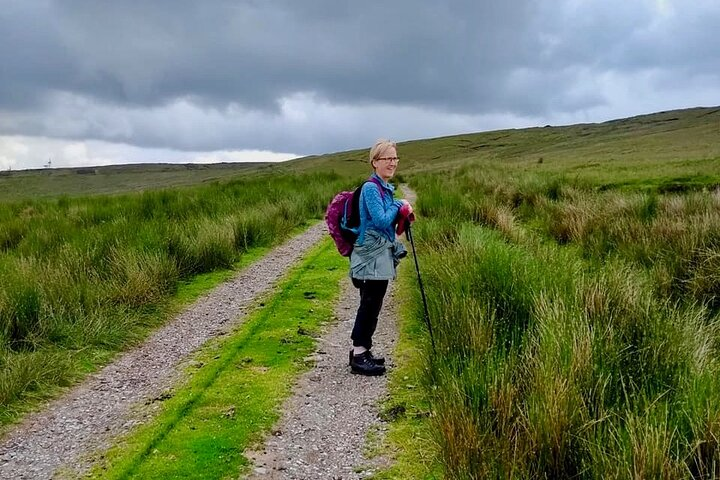 Bog Safari Hike - Photo 1 of 10
