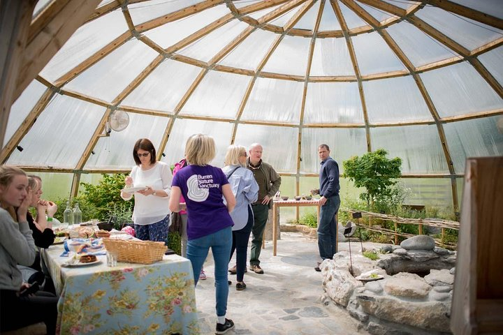 Visit the award winning Burren Botany Bubble or prebook a free botany introduction through the website