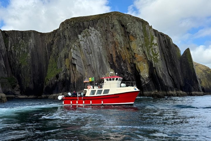 1 hour Dingle Bay Cliff Tour - Photo 1 of 25