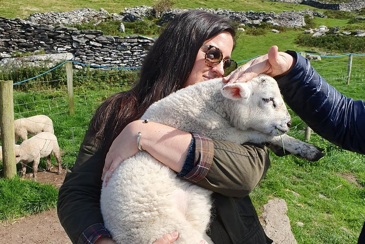 Dingle Day Tour from Killarney - Photo 1 of 7