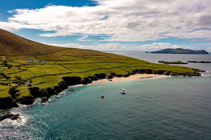 Dingle Dolphin Blasket Adventures - Photo 1 of 15