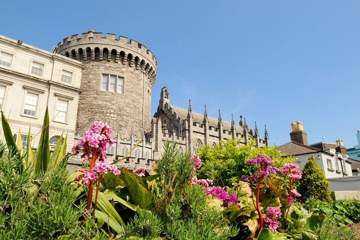 Dublin Private Tour with Skip-the-line Dublin Castle Tickets - Photo 1 of 8