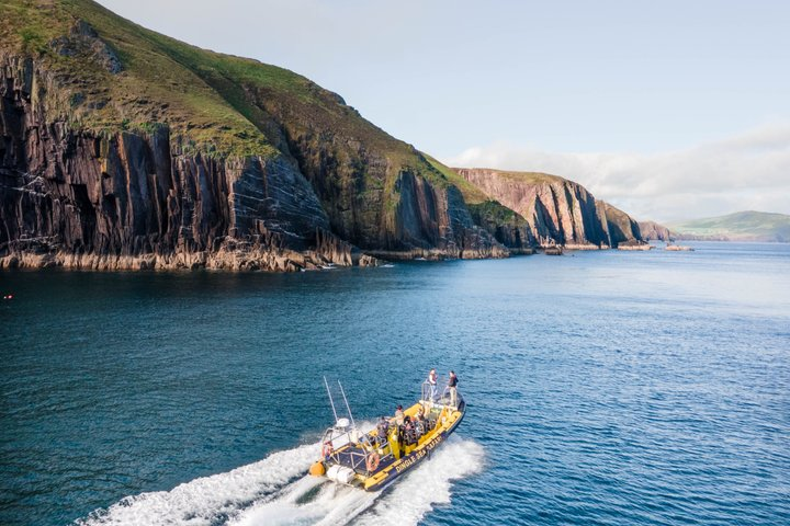 Dingle Sea Safari - Rib boat tour in Dingle Bay - Photo 1 of 19