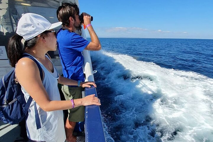Guests enjoying the sea views
