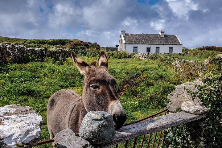 Inis Mór (Aran Islands) Day Trip: Return Ferry from Rossaveel, Galway - Photo 1 of 15