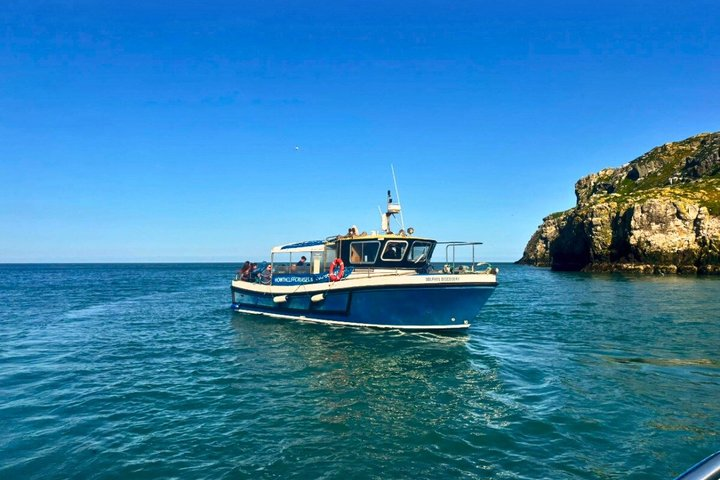 Ireland's Eye and Howth Coastal Boat Tour - Photo 1 of 25