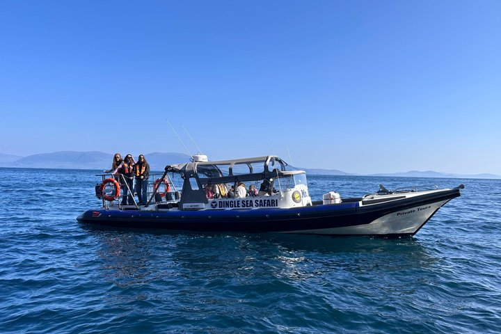 VIP Private hire bespoke Dingle Sea Safari rib tour - Photo 1 of 9