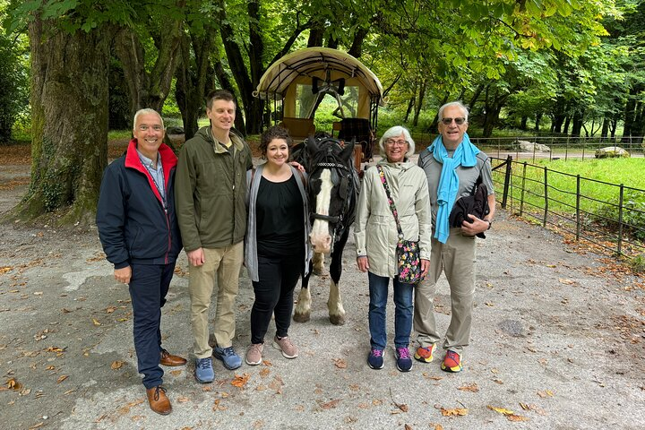 Private Killarney National Park & Ladies View Tour from Cork City - Photo 1 of 25
