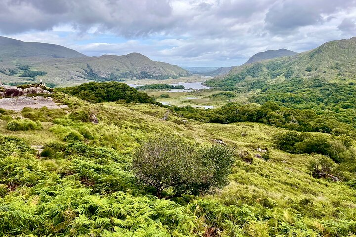 Killarney and Kerry: Scenic Highlights Private Tour from Cork - Photo 1 of 10