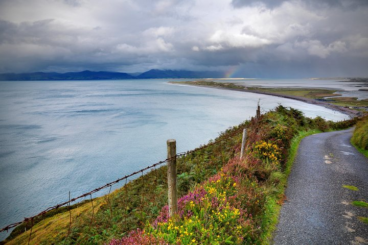 Breathtaking coastal views unfold along the Ring of Kerry showcasing the serene blend of land and sea perfect for those seeking Ireland's natural beauty and charm.