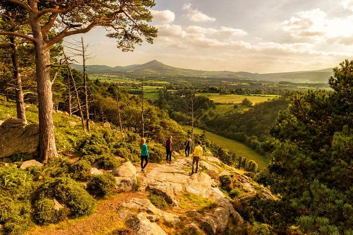 Experience the stunning landscapes of Wicklow Mountain National Park while enjoying a guided walk perfect for immersing yourself in nature’s beauty just outside Dublin.