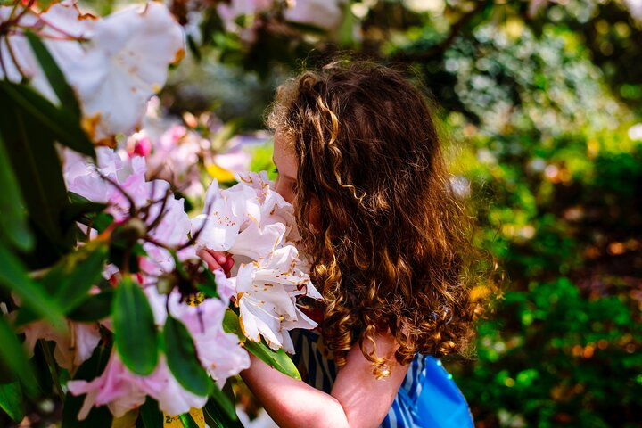 Mount Congreve Gardens