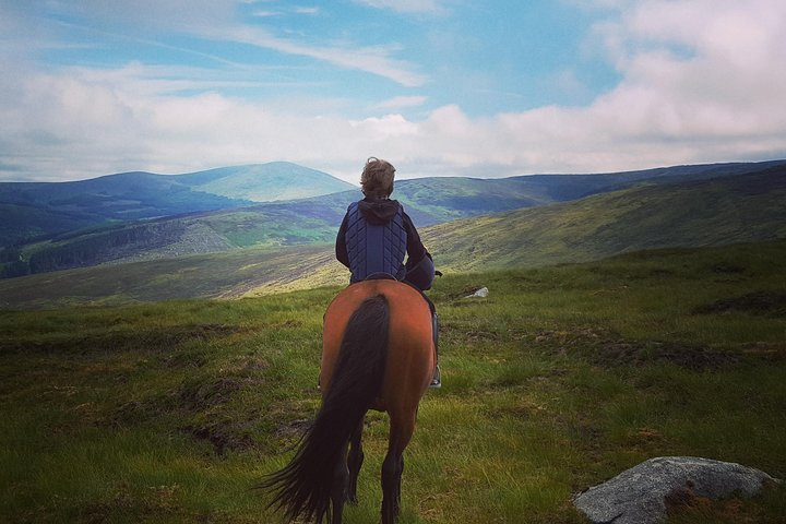 Wicklow Mountains Horse Trekking - Photo 1 of 19