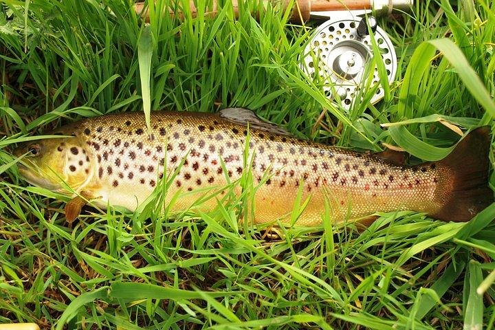 Wild Brown Trout fishing. Lough Corrib. French speaking Ghillie/Guide. Full day. - Photo 1 of 6