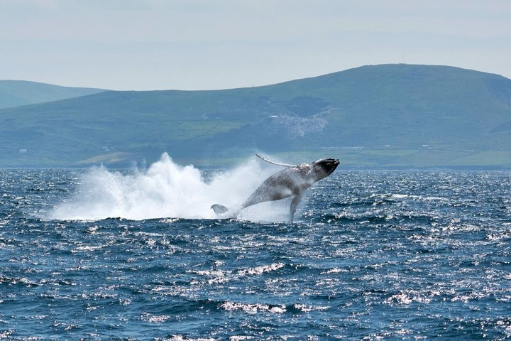 Wildlife Tour - Photo 1 of 18