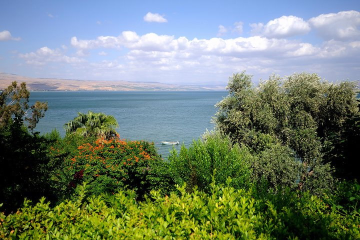 2-Day Northern Israel Tour from Tel Aviv: Golan Heights, Nazareth and the Sea of Galilee - Photo 1 of 8