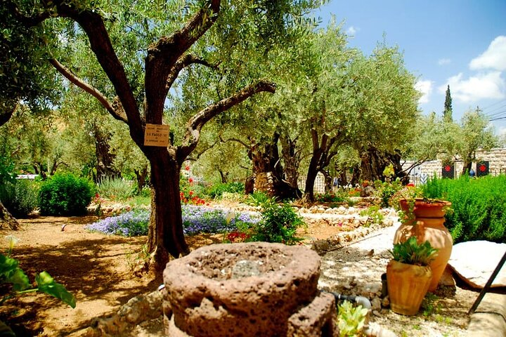 4-Day Christian Tour from Tel Aviv: Jerusalem, Jericho, Bethlehem and Nazareth - Photo 1 of 16