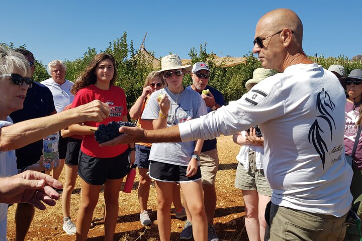 Full-Day Private Guided Ashdod Cruise Excursion Tour - Photo 1 of 7