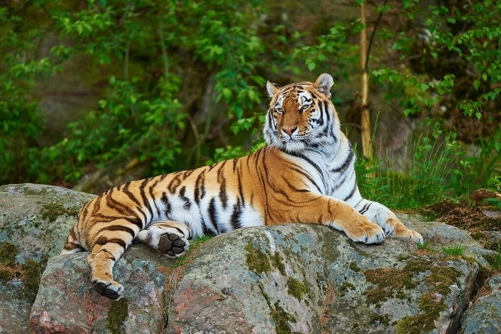 10 Days Amazing Rajasthan Tour with Taj Mahal and Wildlife Tour - Photo 1 of 9