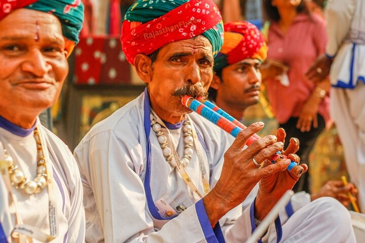 12-Day Royal Rajasthan Tour from Udaipur: Forts & Desert Magic - Photo 1 of 25