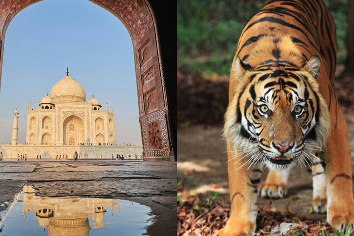 8 Days Delhi Agra Ranthambore Udaipur Jodhpur Jaipur Tour - Photo 1 of 22