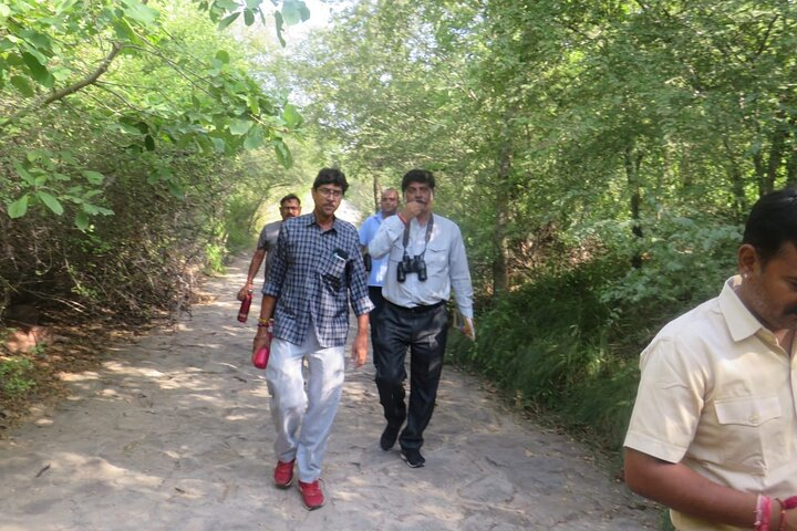 3-Hour Guided Walking Tour in Jodhpur - Photo 1 of 3