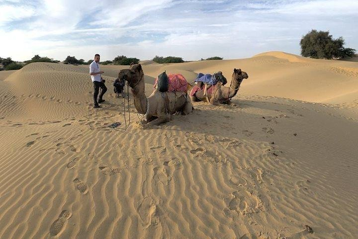 3-Day Jaisalmer Tour From Jodhpur - Photo 1 of 8