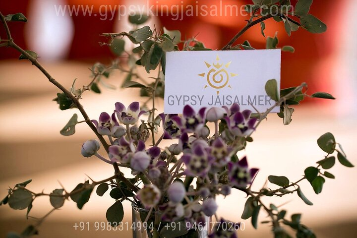 3 days Jaisalmer Private Tour with Desert Safari, Sightseeing and Accommodation - Photo 1 of 19