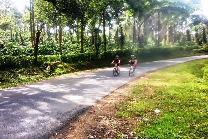 4-Hour Tour: Pune University Complex Cycling Private Tour in Pune
