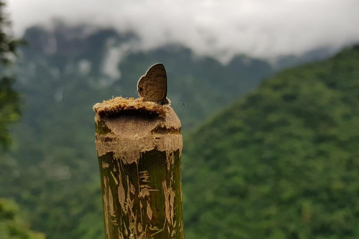 4D/3N Glimpse of Meghalaya - Photo 1 of 2