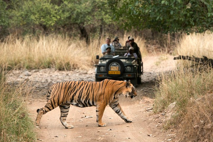 5 Days Golden Triangle Tour with Ranthambore Delhi Agra Jaipur Ranthambore tour