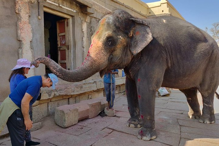 Elephant blessing at Hampi