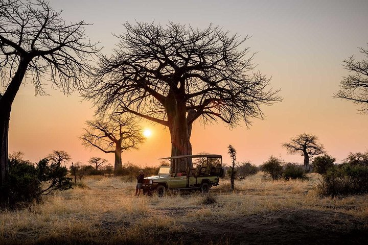 7 Days Safari - Photo 1 of 3