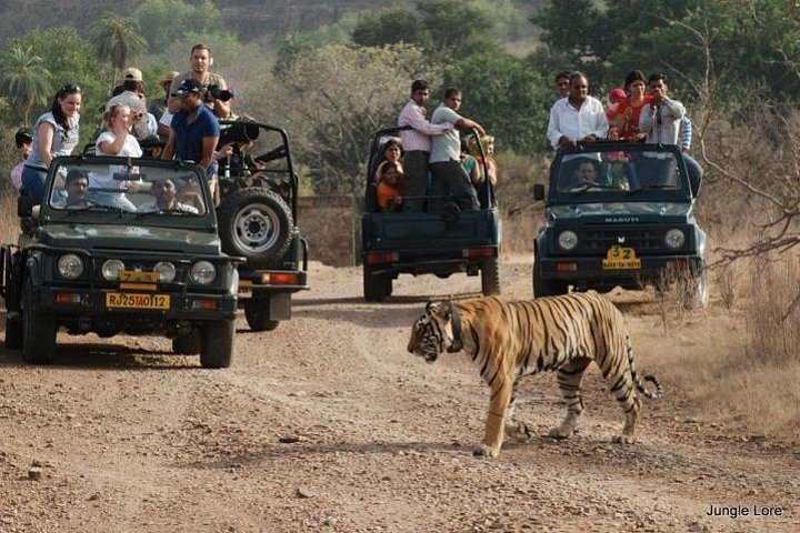 Ranthambhore National Park