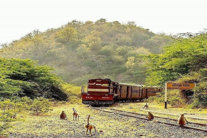 8 Nights/9 Days Majestic Rajasthan Tour Package - Photo 1 of 6