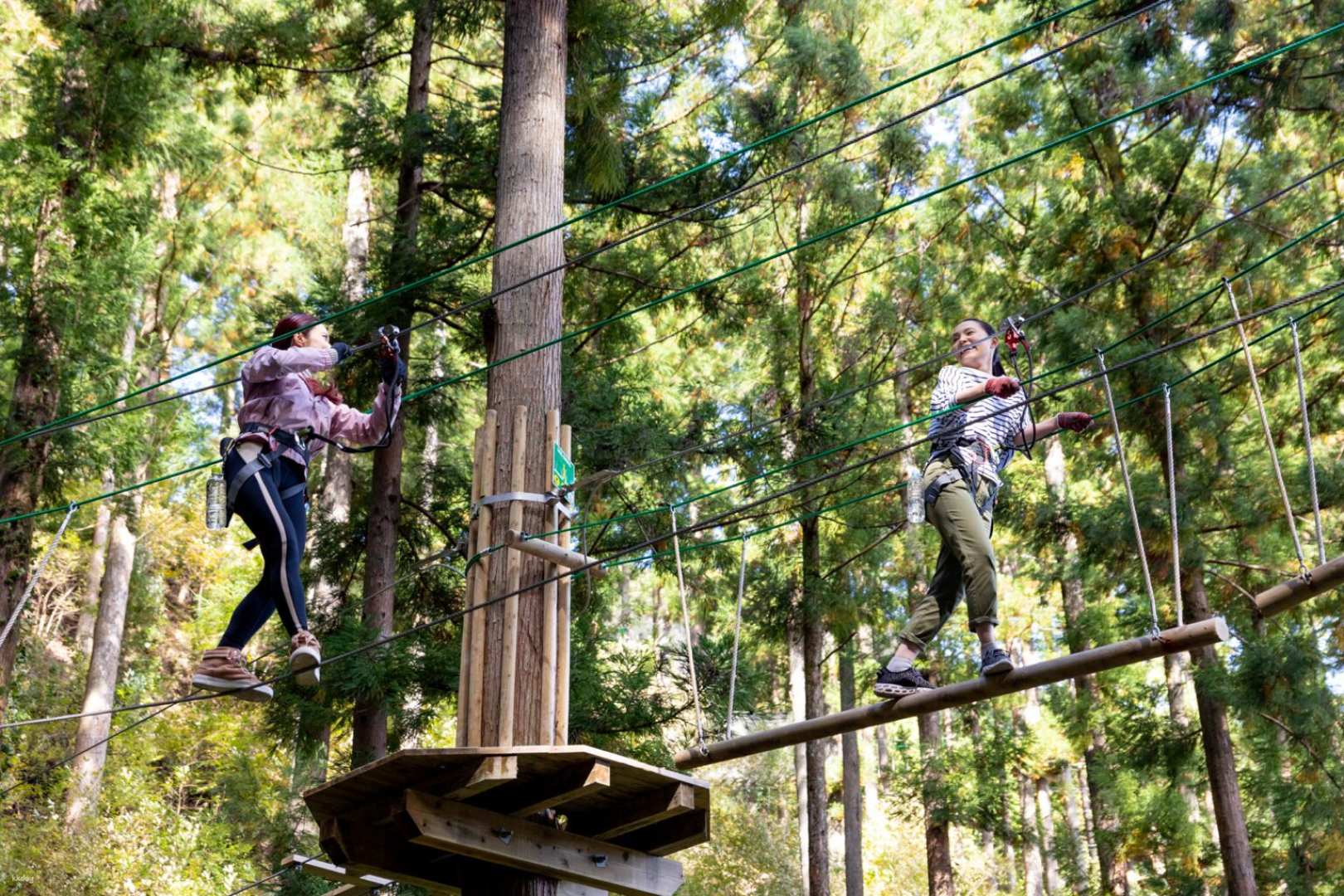 A thrilling treetop activity experience where nature and adventure intersect! [Forest Adventure Kochi] - Photo 1 of 10