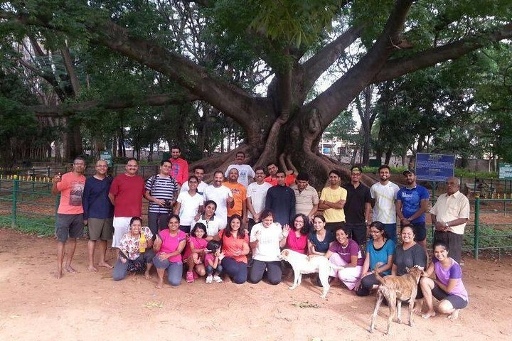 A Trail Through Parks Of Bangalore - Photo 1 of 2