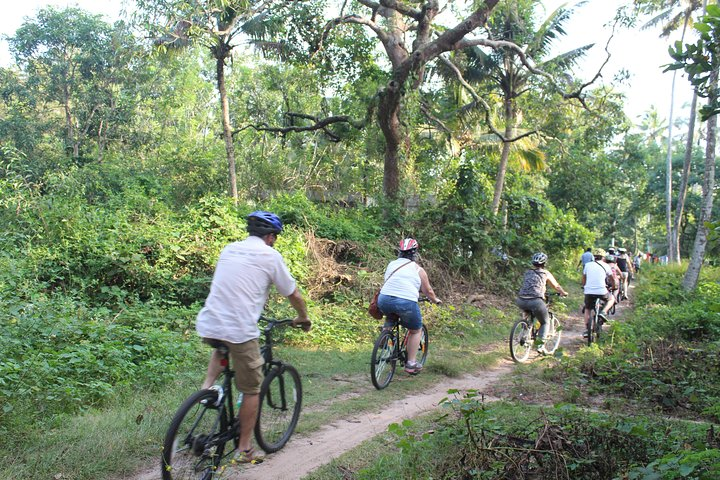 Alappuzha Backwaters & Beaches Bike Tour - Photo 1 of 6