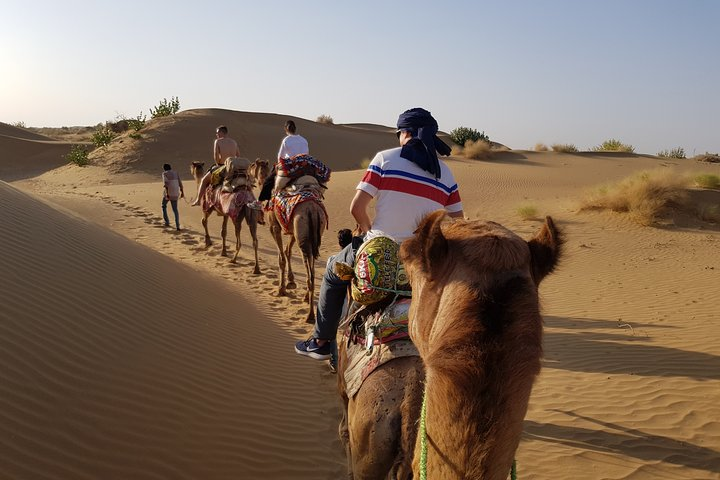 2 Days One Night Safari into Thar Desert 7:30AM to 11AM Next day - Photo 1 of 9