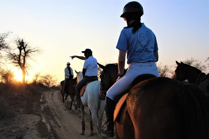 Aravali Trail Experience( Jungle Safari Forest area)- Horseback Riding - Photo 1 of 24
