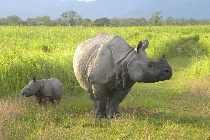 Assam & Arunachal The Buddhist Monasteries & Tribal Culture Tour - Photo 1 of 18