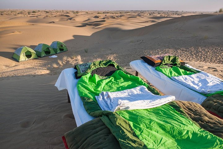 Become a Desert Nomad - Overnight Camel Safari in the Wild - Photo 1 of 18