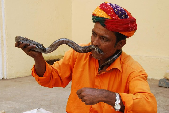 Best Deal of Golden Triangle Tour - India - Photo 1 of 8