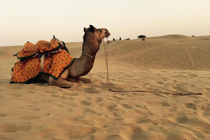 Best of Golden City "JAISALAMER" tour - Photo 1 of 6