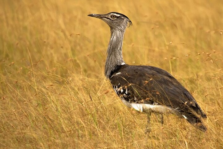  Bhuj, Narayan Sarovar Sanctuary & White Rann of Kutch Tour - Photo 1 of 8