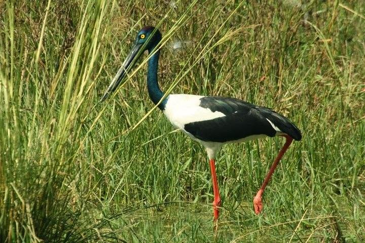 Bharatpur Rajashtan India