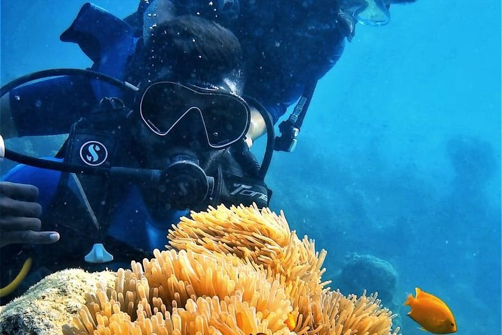 Boat Scuba Diving at Neil Island - Photo 1 of 4